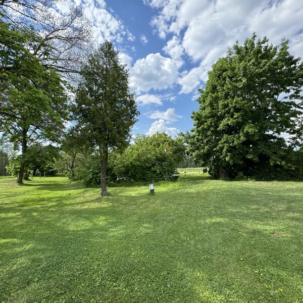 Plaša teritorija telšu izvietošanai ēnā