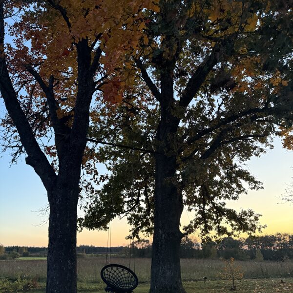 Kļava un ozols no 1830. Gada